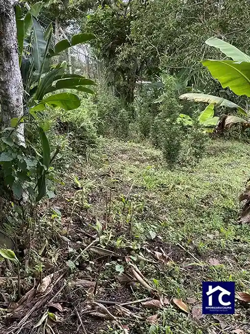 San José lote 2b Urbanización California